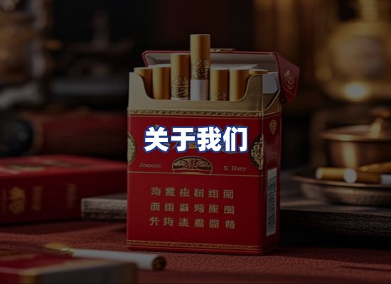 专业团队